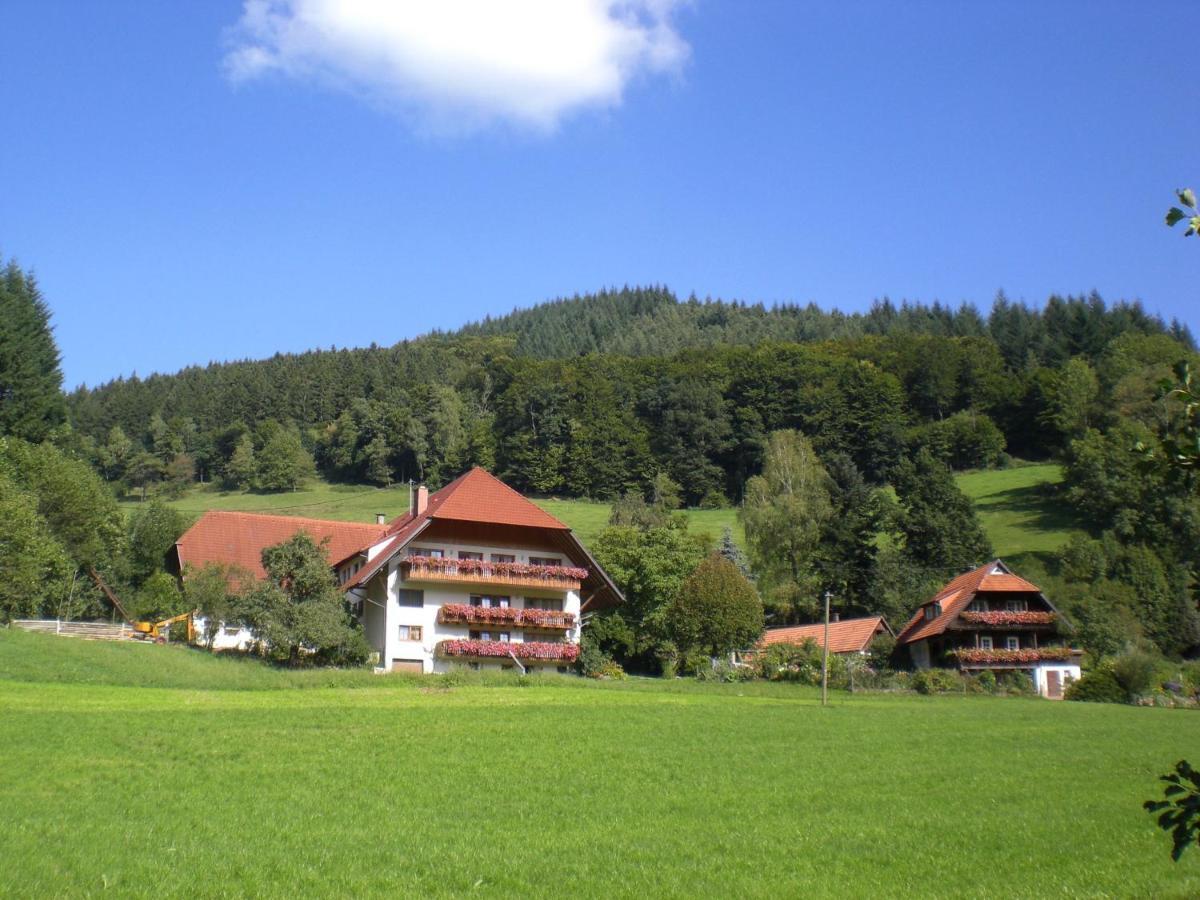 Geigerbauernhof Leilighet Mühlenbach Eksteriør bilde