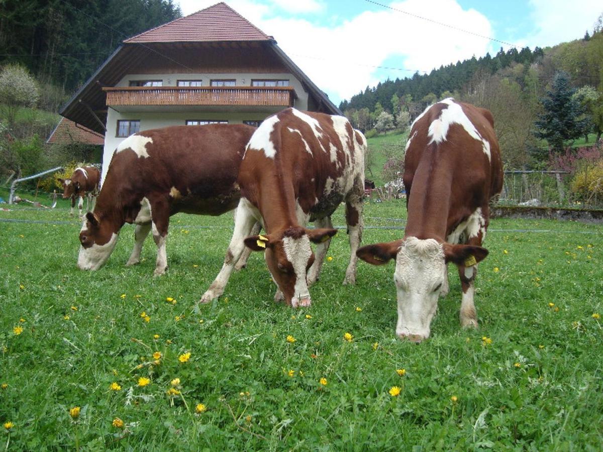 Geigerbauernhof Leilighet Mühlenbach Eksteriør bilde
