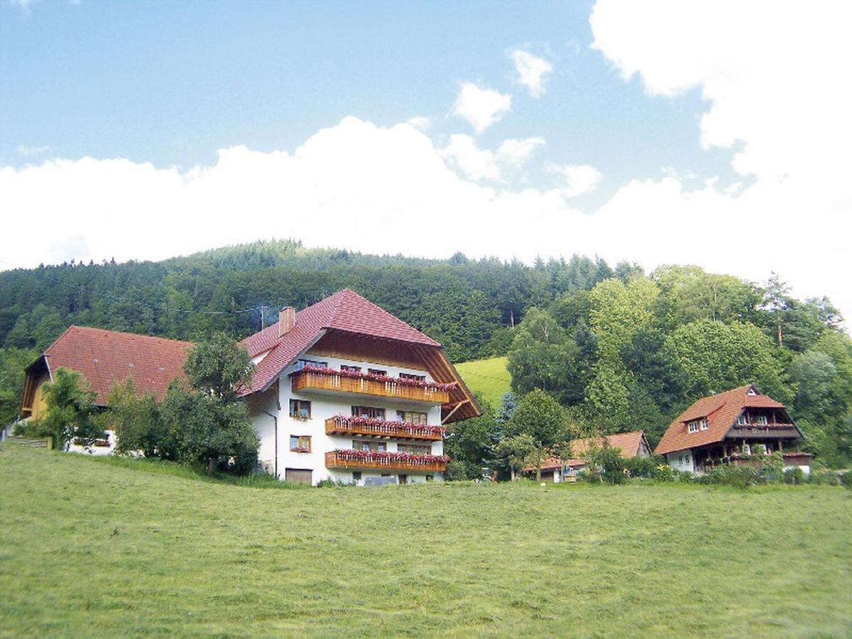 Geigerbauernhof Leilighet Mühlenbach Eksteriør bilde