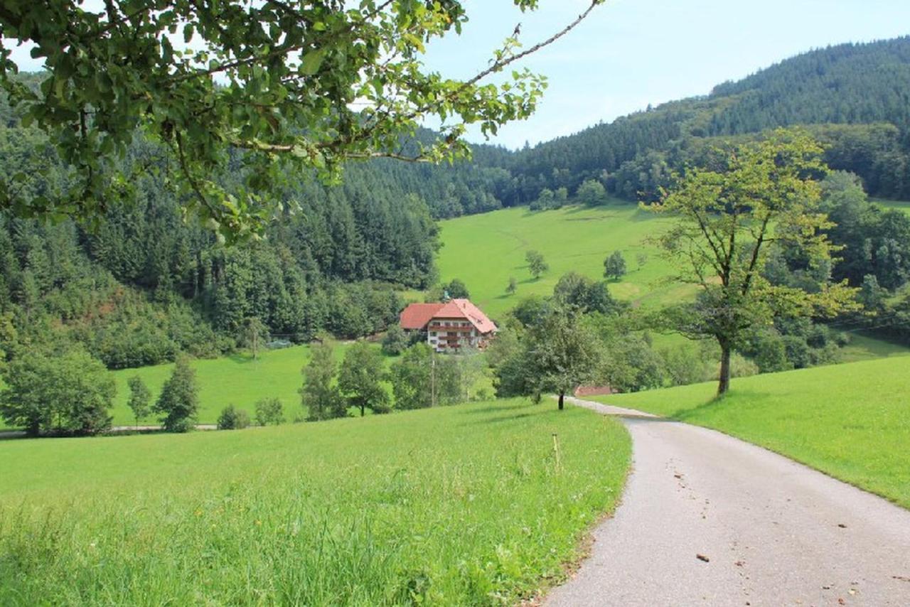 Geigerbauernhof Leilighet Mühlenbach Eksteriør bilde
