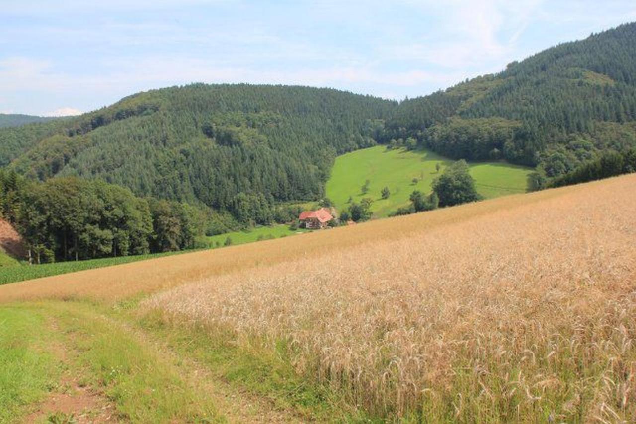 Geigerbauernhof Leilighet Mühlenbach Eksteriør bilde