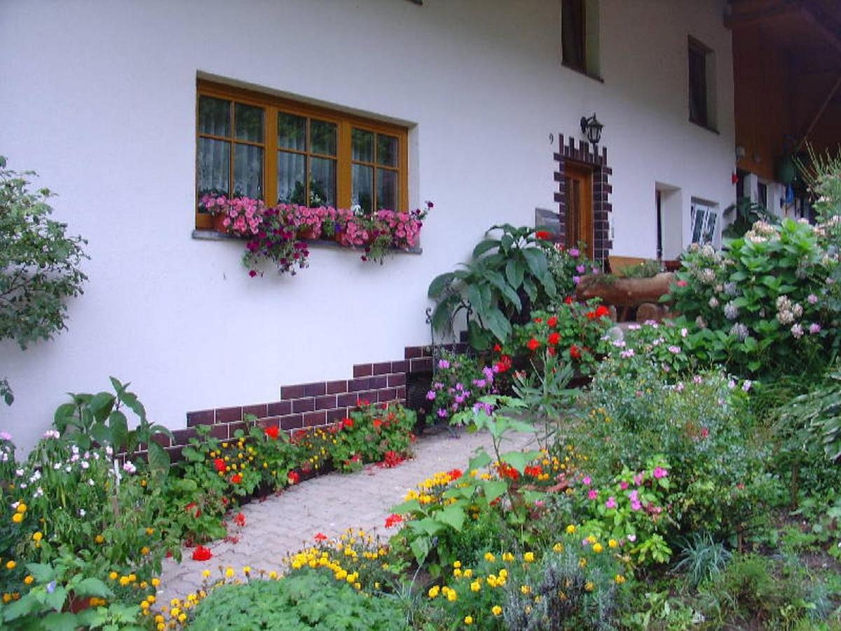 Geigerbauernhof Leilighet Mühlenbach Eksteriør bilde